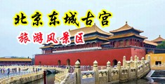操肥操逼视频中国北京-东城古宫旅游风景区